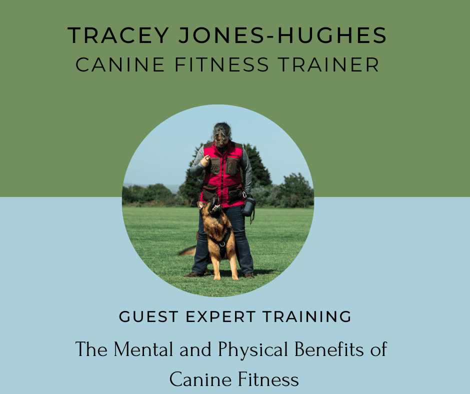 Tracey Jones-Hughes, The Mental and Physical Benefits of Canine Fitness